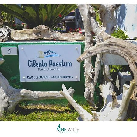 B&B Cilento Paestum Exterior photo