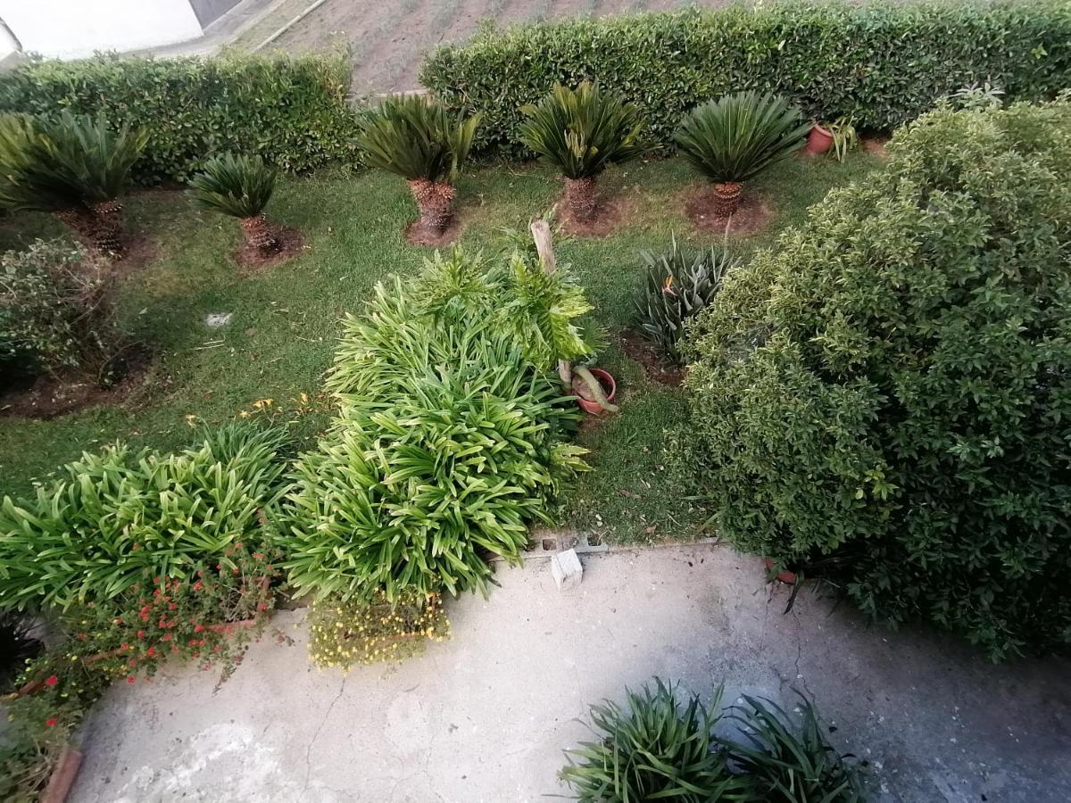 B&B Cilento Paestum Exterior photo
